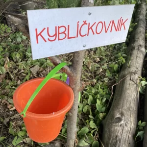 Do Kněževse za houbami a kamenožroutem - Vysočina s dětmi