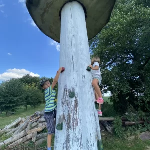 Do Kněževse za houbami a kamenožroutem - Vysočina s dětmi
