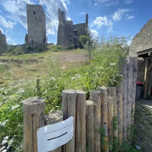 Zřícenina hradu Rokštejn - Vysočina s dětmi