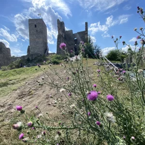 Zřícenina hradu Rokštejn - Vysočina s dětmi