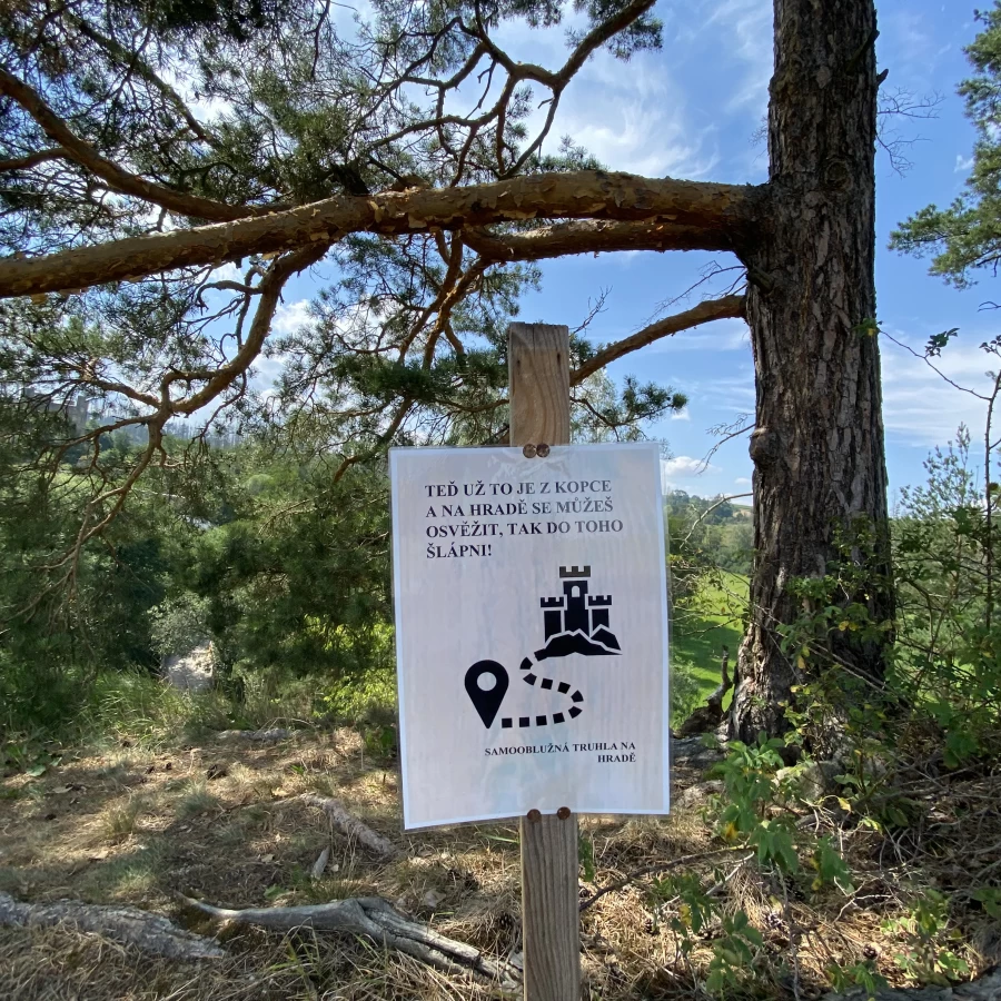 Zřícenina hradu Rokštejn / 11