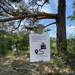 Zřícenina hradu Rokštejn - Vysočina s dětmi