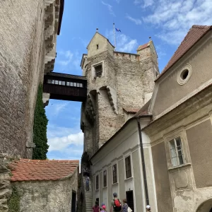 Hrad Pernštejn a okolí - Vysočina s dětmi