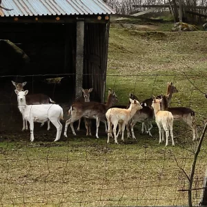 Do hobitbaru, za bobrem a za srdcem Velkomeziříčska - Vysočina s dětmi
