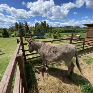Zahradnictví Rozmarínek / 4 - Vysočina s dětmi