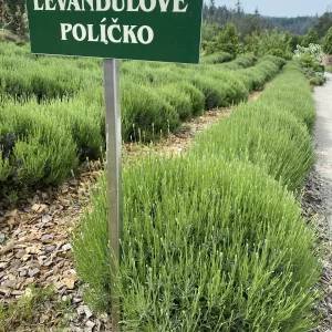 Zahradnictví Rozmarínek / 10 - Vysočina s dětmi