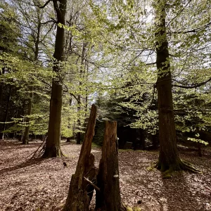 Koníkovské výhledy - Vysočina s dětmi