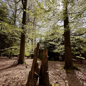 Koníkovské výhledy - Vysočina s dětmi