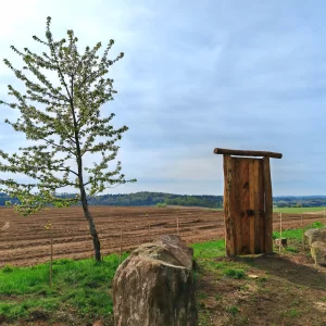 Do Kněževse za houbami a kamenožroutem - Vysočina s dětmi
