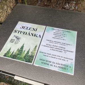 Za jeleny a ke skalám Novoměstska - Vysočina s dětmi