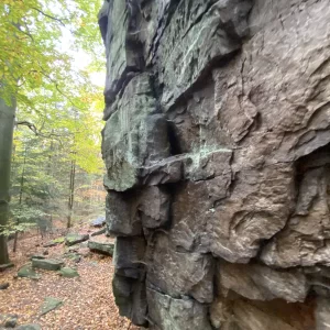 Za jeleny a ke skalám Novoměstska - Vysočina s dětmi