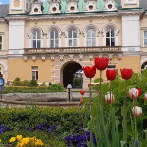 Do Světlé a okolí s dětmi - Vysočina s dětmi