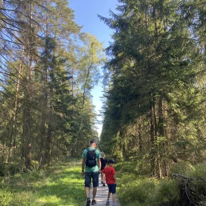 Za Dařbuchou na Velké Dářko - Vysočina s dětmi