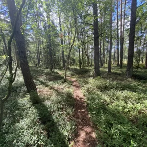 Za Dařbuchou na Velké Dářko - Vysočina s dětmi