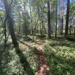Za Dařbuchou na Velké Dářko - Vysočina s dětmi