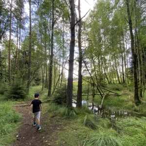 Za Dařbuchou na Velké Dářko - Vysočina s dětmi