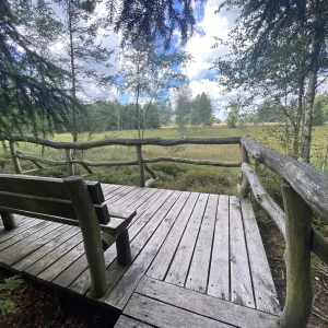 Za Dařbuchou na Velké Dářko - Vysočina s dětmi