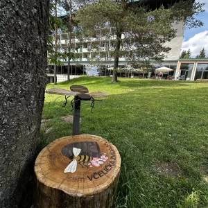 Pohádková stezka skřítka Ostružinky - Vysočina s dětmi
