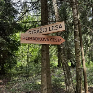 Pohádková stezka skřítka Ostružinky - Vysočina s dětmi
