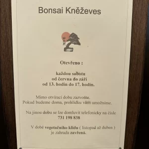 Do Kněževse za houbami a kamenožroutem - Vysočina s dětmi