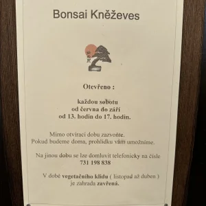 Do Kněževse za houbami a kamenožroutem - Vysočina s dětmi