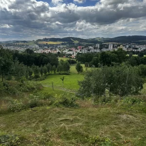Za jeleny a ke skalám Novoměstska - Vysočina s dětmi
