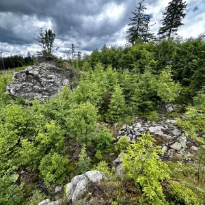 Za jeleny a ke skalám Novoměstska - Vysočina s dětmi