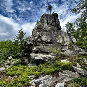 Za jeleny a ke skalám Novoměstska - Vysočina s dětmi