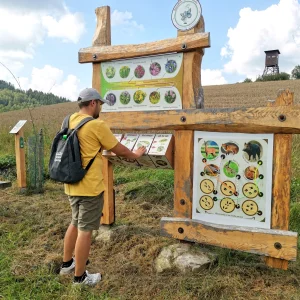 Za jeleny a ke skalám Novoměstska - Vysočina s dětmi
