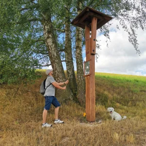 Za jeleny a ke skalám Novoměstska - Vysočina s dětmi