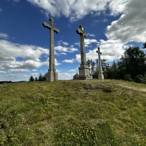 Za jeleny a ke skalám Novoměstska - Vysočina s dětmi