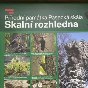 Za jeleny a ke skalám Novoměstska - Vysočina s dětmi