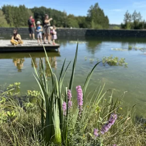 Za humny je Vodní dům a zámek Zruč - Vysočina s dětmi