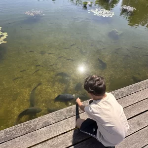 Za humny je Vodní dům a zámek Zruč - Vysočina s dětmi