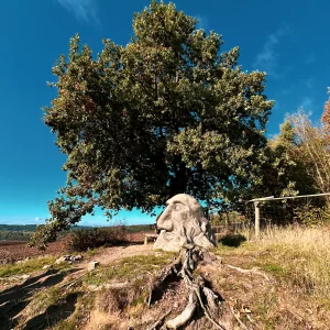 Podzimní výlet do Žďáru - Vysočina s dětmi