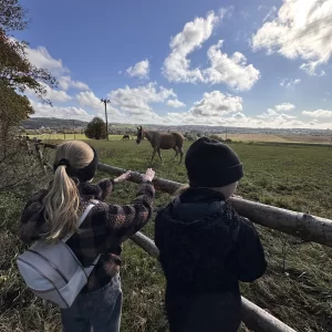 Podzimní výlet do Žďáru - Vysočina s dětmi