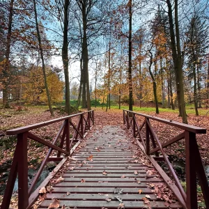 Do Světlé a okolí s dětmi - Vysočina s dětmi