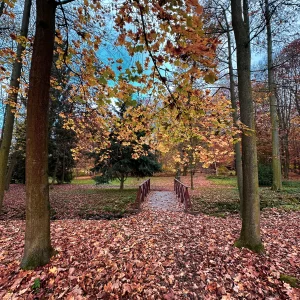 Zámecký park ve Světlé nad Sázavou / 6 - Vysočina s dětmi