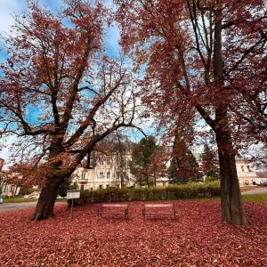 Zámecký park ve Světlé nad Sázavou / 9 - Vysočina s dětmi