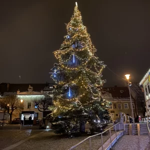 Adventní kalendář 2024 - Vysočina s dětmi