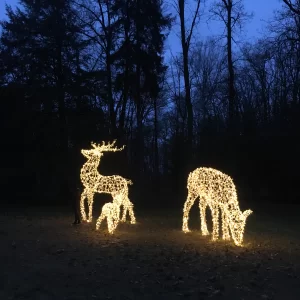 Adventní kalendář 2024 - Vysočina s dětmi