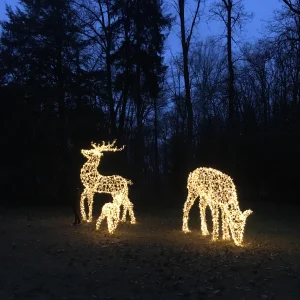 Adventní kalendář 2024 - Vysočina s dětmi