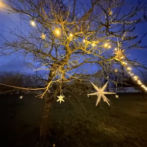 Světelný adventní kalendář na Zámku Žďár / 3 - Vysočina s dětmi