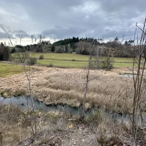 Šlapankou v Polné - Vysočina s dětmi