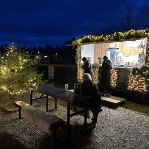 Bruslení na umělém kluzišti - Vysočina s dětmi