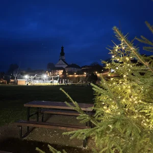 Bruslení na umělém kluzišti - Vysočina s dětmi